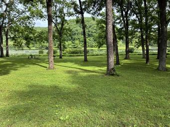 A view of Noblett Lake
