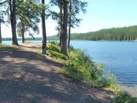 LIP6, Loop: LAKE INEZ POINT 6 (GROUP CAMP SITE)