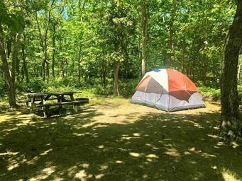 Martha's Vineyard Family Campground