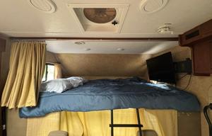 Cozy Comfort
