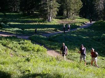 Albion Basin