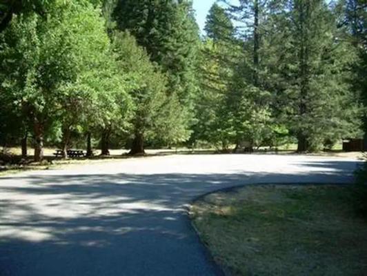 001, Loop: CHINQUAPIN GROUP CAMPGROUND