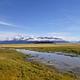 Yellowed grassflats with water and mountains in background
