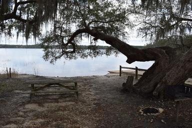 Campground image 4