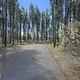 Shoreline Campground/0156