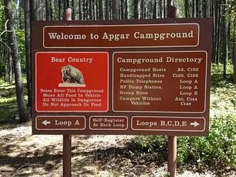 Apgar Group Sites