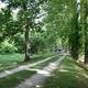 Towpath near Antietam Creek