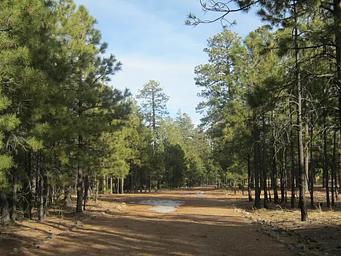 view of entrance to Black Canyon Rim Campground