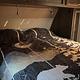 Russ and Steph's PNW Adventure-Ready Family Camper