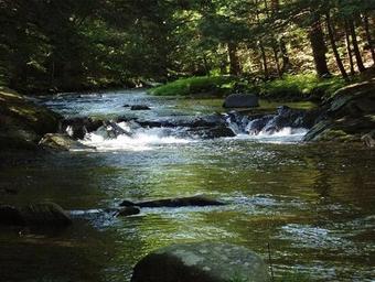 Jacobs Brook Campground