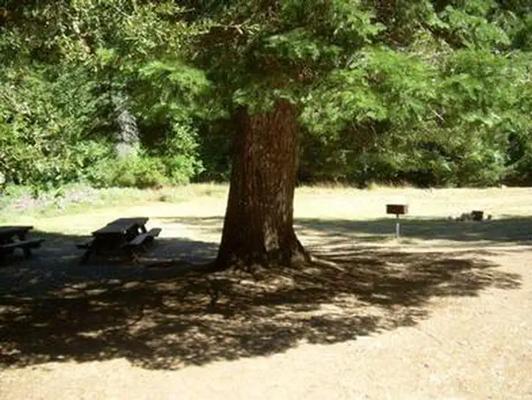 001, Loop: CHINQUAPIN GROUP CAMPGROUND