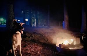 All-Inclusive Travel Trailer Getaway By The Marsh!