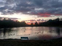 Rutledge Lake Park Inc