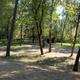Campground image 2