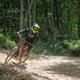 Mountain biking trail scene through forested slopes — useful to show summer activities and trailscape on the resort grounds. Used as the Mountain Biking header image on the site.