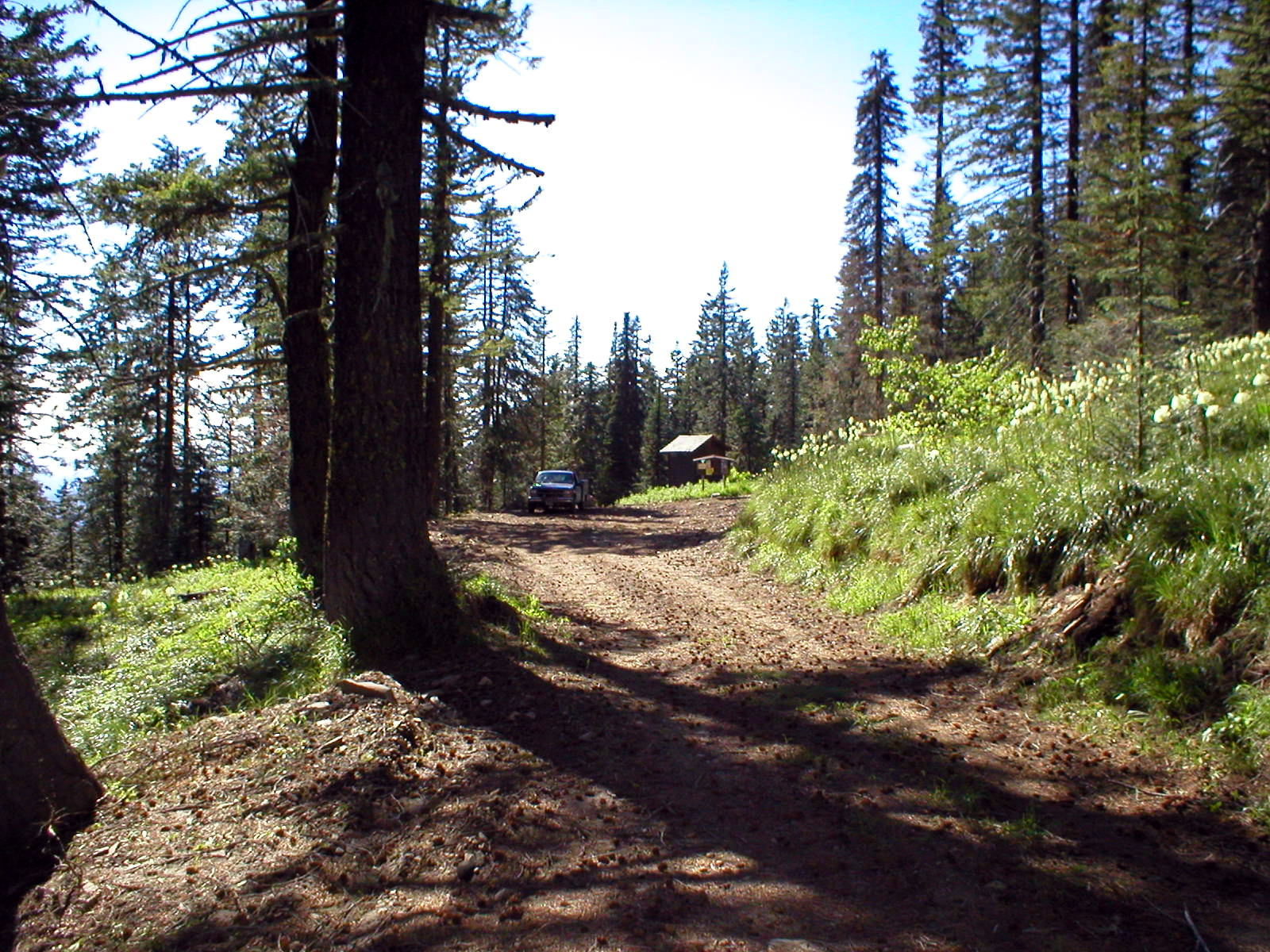 Tingley Spring