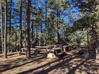 Site #2 Picnic Area