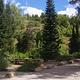 WILLOW FLAT CAMPGROUND