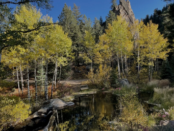 Bliss Camps Glamping (Rocky Mountain Glamping)