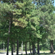 Campspot slideshow image 5