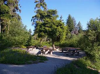 Partial shade in this group campfire area is surrounded by green vegetation with paved walkways to the sites.