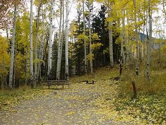 Buckboard