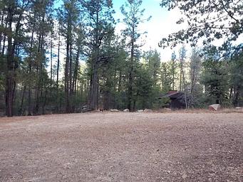 Turney Gulch Group