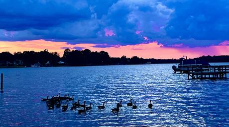 Taw Caw Campground and Marina
