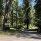 BREITENBUSH CAMPGROUND