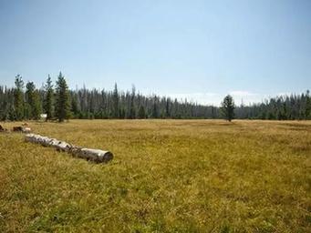 Quinn Meadow Horse Camp
