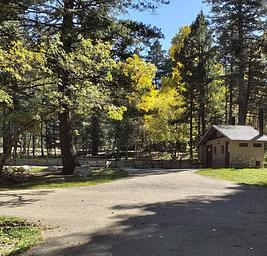 Aspen Group Area (Lincoln National Forest, NM)
