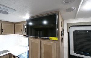Palomino Solaire