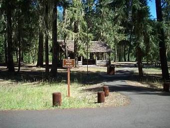 View past picnic area sign down paved road bordered with stump barriers and intermittent conifer trees, sunlit group picnic shelter in background.