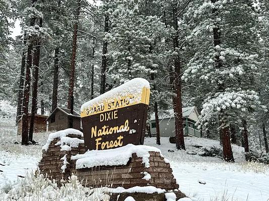 Cabin, Loop: Pine Valley
