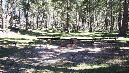 Upper Fir Group Area