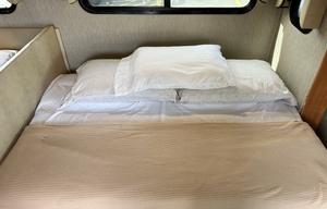 MEADOW 2019 NeXus RV Phantom 31P