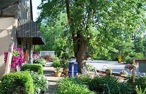 Crawfordsville KOA Journey