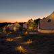 Evening view of a row of illuminated bell tents along a pathway — strong visual of the guest accommodations and nighttime ambiance on the property (from the site gallery).