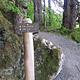 Lake Eva Trail
