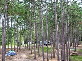 Yukon Trails Campground