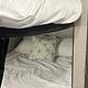 2021 Jayco Jay Flight SLX 8 264BH