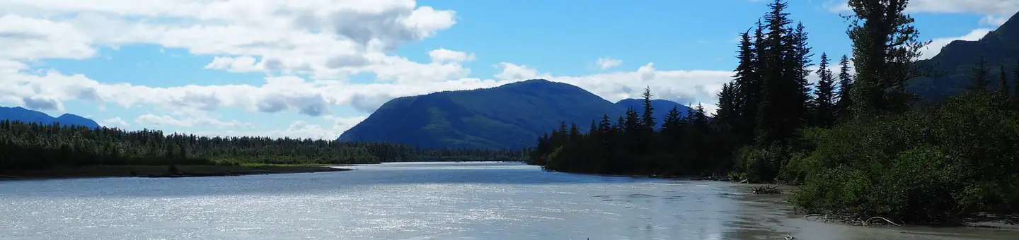 Twin Lakes Cabin (AK)