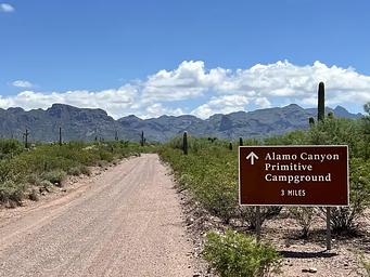 Alamo Canyon Primitive Campground