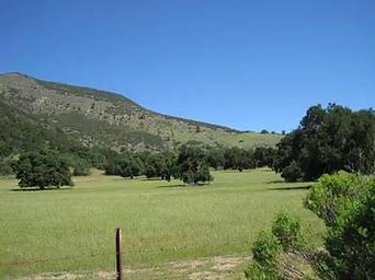 ARROYO SECO