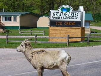Campground image 4