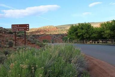A paved road. To the right side there is desert fauna and a brown sign reading: "Loop C *right arrow* Amphitheater *right arrow* Group Area *right arrow*". To the left side is a fence and some trees. There is a brown-red color hill against a blue sky in the background.