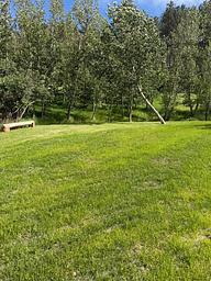 Nomad VanCamp & RV Park