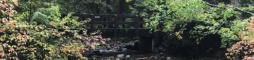 Fish Creek Campground
