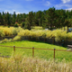 Campspot slideshow image 5