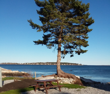Gray Homestead Oceanfront Campground
